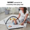 Graco - Pack’n Play Anywhere Dreamer 舒適嬰幼兒多用途安撫游戲床連尿片更換台 – 河馬