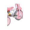 Kids Star 1st Move 推控前圍三輪車- 甜美粉